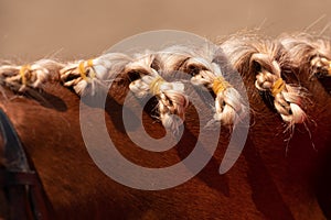 Horse mane with edits - blue flowers