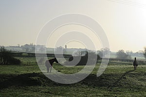 Horse in a misty winters field wearing a coat