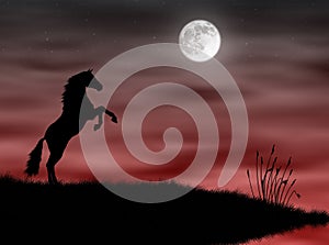 Horse in the moonlight