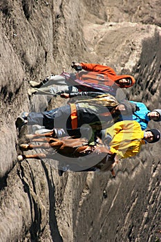 Horse in Mount Bromo