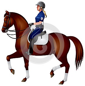 Horse mounted Police girl photo