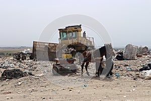 Horse mounted on a scavenger cart and a broken waste compactor in a landfill site