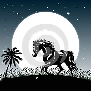 horse in the night, Vector Design photo