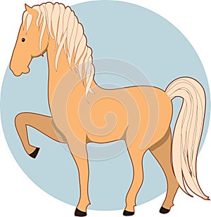 Horse Palomino