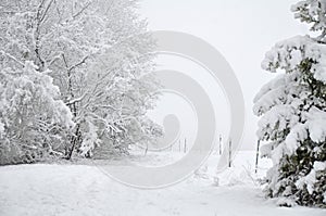 Horse pasture in nor`easter snowstorm