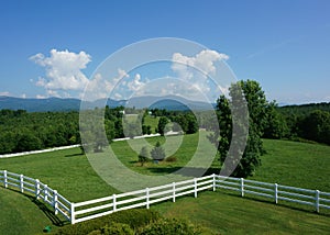 Horse Pasture in South Carolina