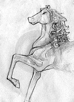 Horse pencil sketch