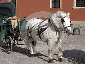 Horse and phaeton