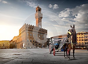 Horse on Piazza della Signoria