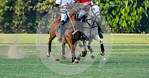 Horse Polo Player battle