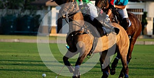 Horse polo player use a mallet hit ball.