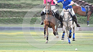 Horse polo players are competing in the polo field