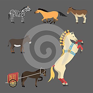 Horse pony stallion isolated different breeds color farm equestrian animal characters vector illustration.