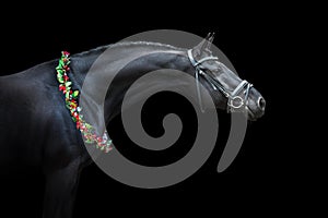 Horse portrait in bridle in christmas decor