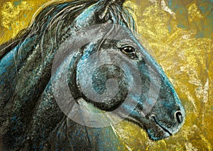 Horse portrait charcoal and pastels