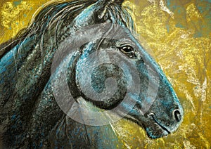 Horse portrait charcoal and pastels photo