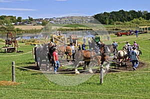 Horse Power threshing