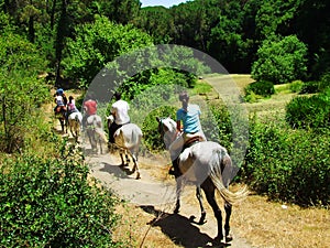 Horse promenade