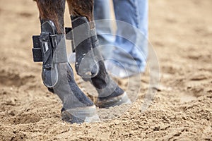 Horse protections boots for legs at jumping competition training