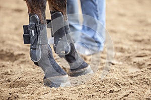 Horse protections boots for legs at jumping competition training photo