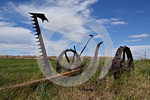 Horse pulled hay mower