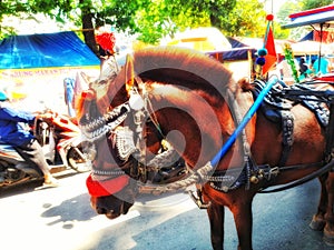 HORSE PULLING A CART