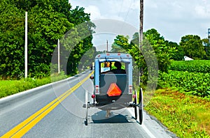 A horse pulling a cart across