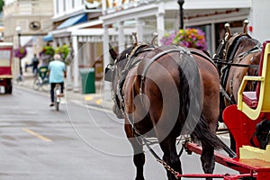 Horse Pulling Wagon In Town