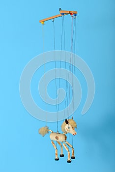 Horse puppet isolated in blue background