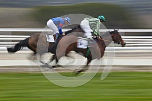 Horse race final rush. Competition sport. Hippodrome. Winner.