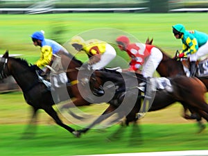 Horse race finish photo