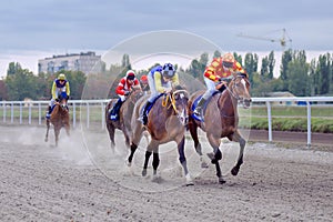 Horse race