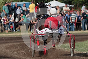 Horse race at hippodrome