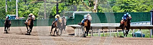 Horse Race Panorama