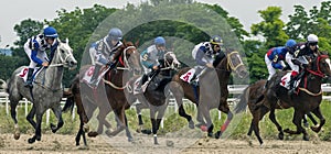 Horse race for the prize Jockey Cluba. photo