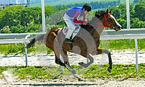 Horse race of Pyatigorsk hippodrome