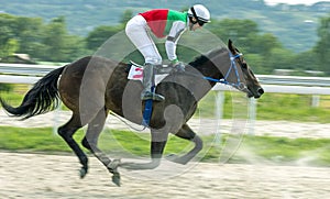 Horse race in Pyatigorsk. photo