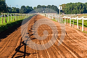 Horse Race Sand Training Track Landscape