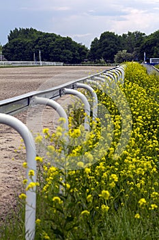 Horse race straight track.