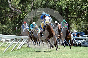 Horse racing