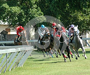 Horse racing