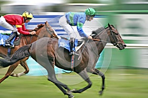 Horse Racing img