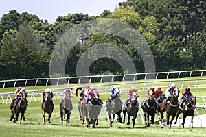 Horse Racing