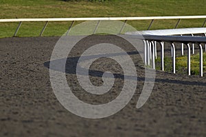 Horse Racing