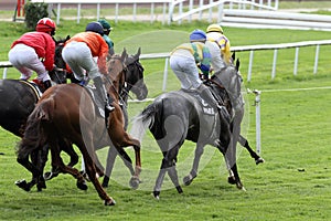 Horse Racing