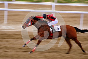 Horse racing