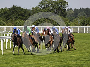 Horse Racing