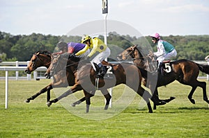 Horse Racing