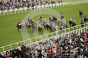 Horse Racing