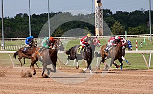 Horse Racing